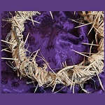 crown of thorns x150
