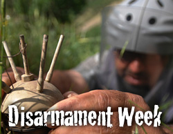 Disarmament