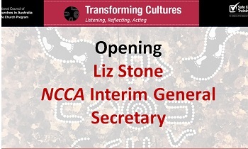 1.Liz Stone opening