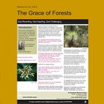 columban grace of forest 2017x150