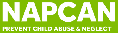large Napcan Logo primary green2 e1534290730817