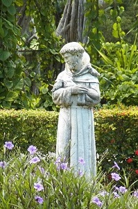 st francisx300